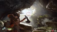 The next Raven is found on the rocks at the top, the light makes this hard to see.