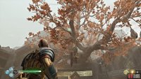 a Raven can be found on the tree after the Valkyrie battle.
