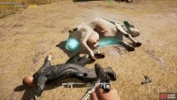 The first object lies under the cow where the cultists are