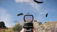 take the time to kill some of the eagles here