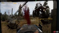 drive over a Bull with the tractor for the Shredded Testicles 
