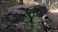 You’ll find many crafting ingredients across Hope County