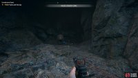 defeat the bear in the cave