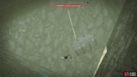 to find the first collectible hidden under the logs