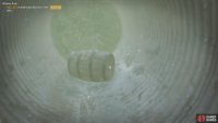 swim into the drainage pipe to find the barrel inside.