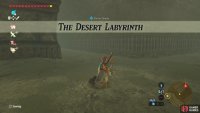 When you enter the Labyrinth, the Shrine Quest, The Desert Labyrinth will begin
