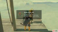 These are the only type of arrow that will hurt Vah Naboris