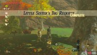 With that, this sidequest is complete
