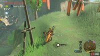This is the Cucco on the path to Ta&rsquo;loh Naeg Shrine