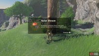 The Hylian Shroom is a basic and common item that if cooked can restore even more hearts.
