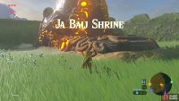 The shrine and its surrounding area is a safe zone from any Guardians
