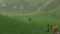 Head north past the shrine in the village