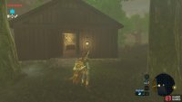 And right next to the cooking pot beyond the trees is where you can obtain a Shrine Quest.