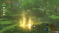This recall point might take you a while to find since it&rsquo;s in the middle of a forest and everything looks the same, but use that large rock as a landmark