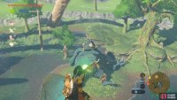 The Middle Kin Hinox is a Blue Hinox