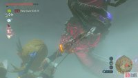 The eye dropping from Naydra’s underside is the easiest to reach