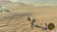Ride a sand seal for a faster way to the post! Or you can go by foot