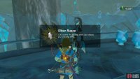 For your efforts you gain 100 Rupees