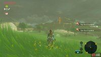 You can see the next tower in the distance