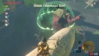 You can shoot from the bones above the pond easily