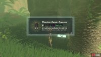 Phantom Ganon Greaves.