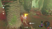 You can find the chest in the ground near the broken bird statue.