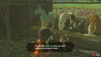 Spotted horses are easier to train