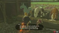 but the wilder, harder to train one color horses are faster and have more stamina.