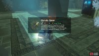 Inside the chest you’ll find a gerudo spear
