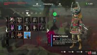 The Helmet offers increased defense against Guardian-type enemies. 