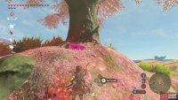 You’ll need to use Magnesis to pull the chest from the ground beneath the Cherry Blossom Tree. 