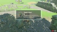 Tingle’s Hood is the Fairy clothing headgear.