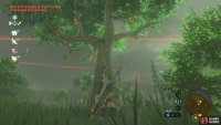 Like its name suggests, it’s a forest rich with apples.