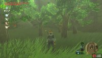 In particular, there’s a cluster of trees by the side of the ramp leading up to the lab.