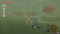 Torin Wetland has many Armoranth, but it’s home to two Guardian Stalkers.