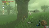 There are fewer tough enemies here, but be wary of the occasional Hinox.