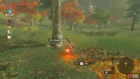 Uh oh, that Lynel has noticed us&hellip;