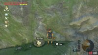 Glide down the cliff to find multiple ledges with bird nests.