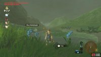 A thorough search can yield over 20 Blue Nightshade.