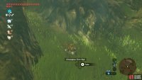 Search between the two trees south-east from the Master Sword pedestal.