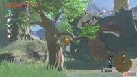 To avoid waking the sleeping Hinox, use regular arrows.