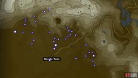 Electric Safflina locations in the northern Gerudo Desert.