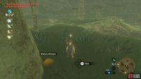 You’ll find the shrooms near the base of the massive, mushroom-shaped trees.