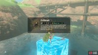 Poor Bokoblin shafted by the weather…