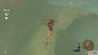 Take to the skies from Akkala Tower to easily reach these platforms.
