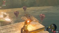 You can use the bows and arrows dropped by the Bokoblins against them.