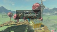 At the end is a chest with a claymore.