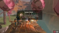 The wooden chest contains a Gerudo-style shield.