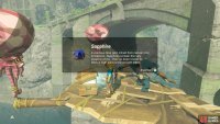 The nearest chest contains a Sapphire.