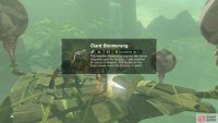 The metal chest contains a Giant Boomerang.